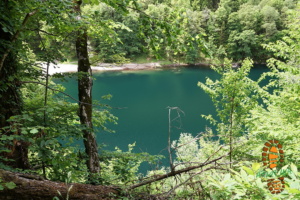 Lago Orbello 019