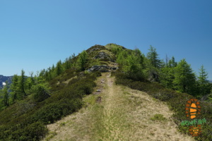 Pizzo Ruscada 018