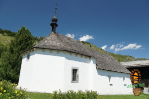 Moosfluh 022